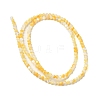 Natural Yellow Shell Beads Strands SHEL-M021-03A-2