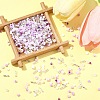 2 Sets Glass Seed Beads DIY-FS0008-27D-8