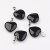 Natural Black Agate Pendants X-G-G956-B04-FF-1