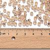 TOHO 6/0 Round Beads X-SEED-TR06-0031-3