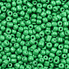 8/0 Baking Paint Glass Seed Beads SEED-R051-07B-09-2
