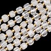 Natural Rainbow Moonstone Beads Strands G-Z147-A01-01-2