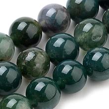 Natural Moss Agate Beads Strands G-I199-06-10mm