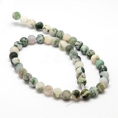 Natural Tree Agate Frosted Agate Round Gemstone Beads Strands G-O151-01-10mm-1