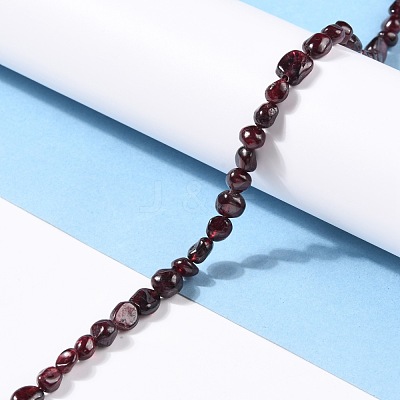 Natural Garnet Beads Strands G-G018-22-1
