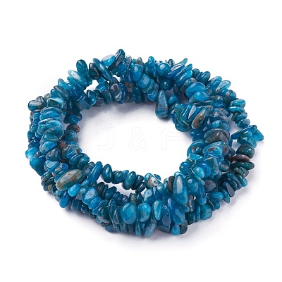Natural Apatite Beads Strands X-G-P427-02-1