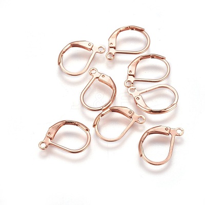 304 Stainless Steel Leverback Earring Findings STAS-E460-03RG-1