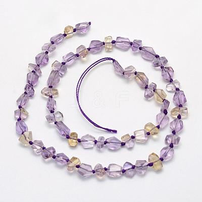 Natural Ametrine Beads Strands G-K202-25-1