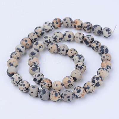 Natural Dalmatian Jasper Beads Strands X-G-Q462-8mm-05-1