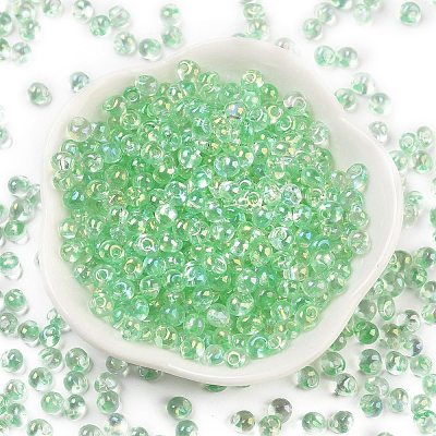 6/0 Inside Colours Fringe Glass Seed Beads SEED-A034-03A-1