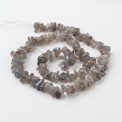 Chip Natural Labradorite Bead Strands G-M349-11-1
