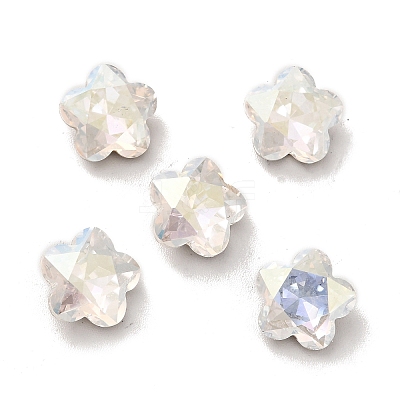 K9 Glass Rhinestone Cabochons RGLA-G017-02B-001TR-1