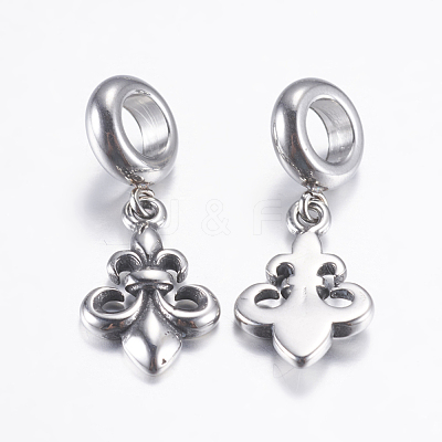 304 Stainless Steel European Dangle Charms STAS-P183-27AS-1