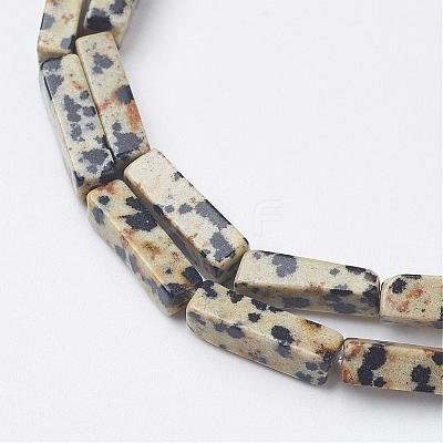 Natural Dalmatian Jasper Beads Strands G-G968-D10-1