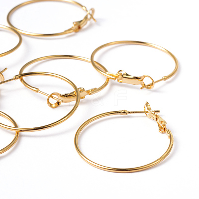 Brass Hoop Earrings EC108-1NFG-1