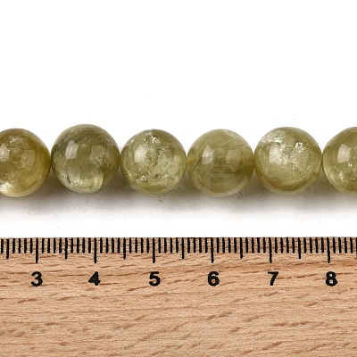 Natural Lepidolite Beads Strands G-F799-B02-12mm-1