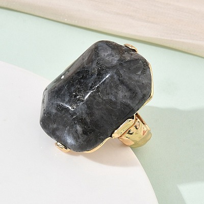 Natural Labradorite & Alloy Finger Rings for Women RJEW-G375-01G-05-1