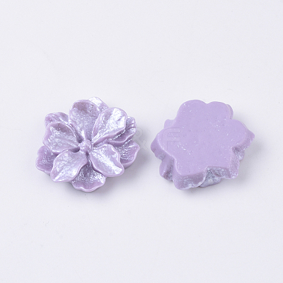 Resin Cabochons X-RESI-S364-46A-1