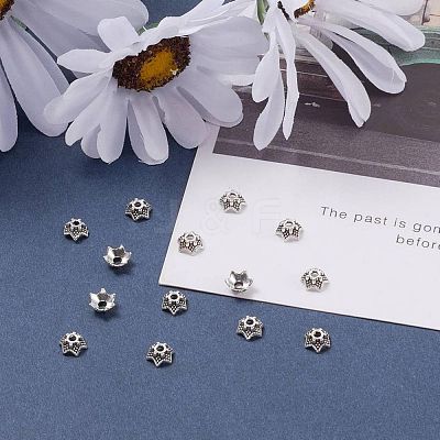 Tibetan Style Bead Caps LS-AA188-AS-NR-1