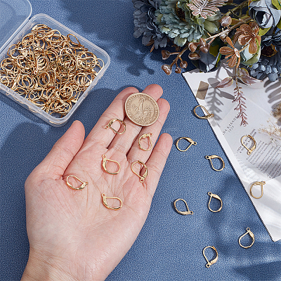 120Pcs 304 Stainless Steel Leverback Earring Findings STAS-ME0001-05-1