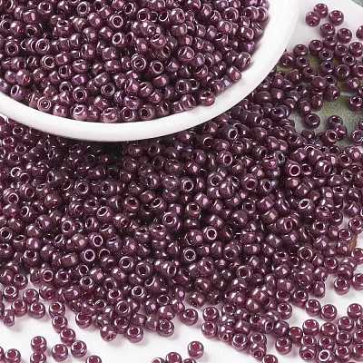 MIYUKI Round Rocailles Beads X-SEED-G008-RR0313-1