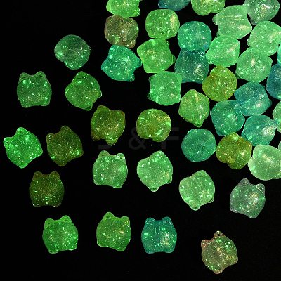Luminous Transparent Acrylic Beads OACR-B031-20-1
