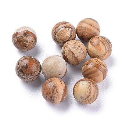 Natural Picture Jasper Beads G-L564-004-D01-1