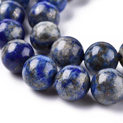 Natural Lapis Lazuli Round Bead Strands X-G-E262-01-10mm-1