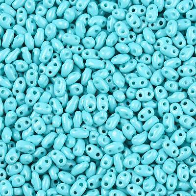 Baking Paint Glass Seed Beads SEED-T006-03H-1