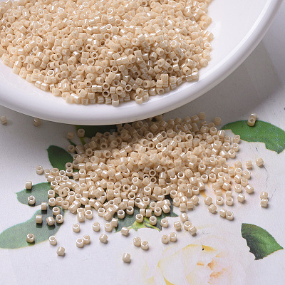 MIYUKI Delica Beads SEED-X0054-DB0205-1