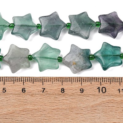 Natural Fluorite Beads Strands G-K359-E14-1