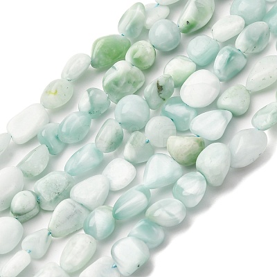 Natural Glass Beads Strands G-K395-A02-02-1