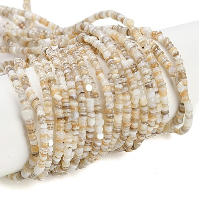 Natural Freshwater Shell Beads Strands BSHE-H109-13A-1