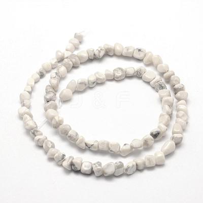 Natural Howlite Beads Strands G-F465-05-1