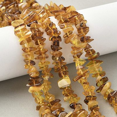 Natural Amber Beads Strands G-L095-D01-01-1