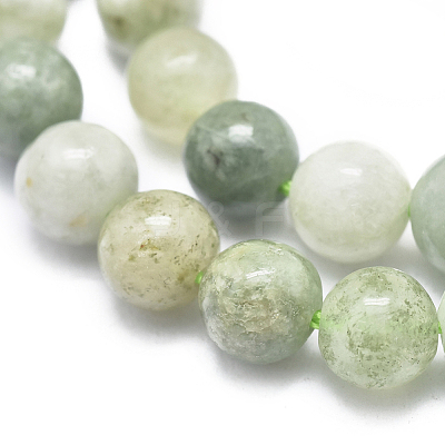 Natural Myanmar Jade/Burmese Jade Beads Strands G-D0001-08-6mm-1