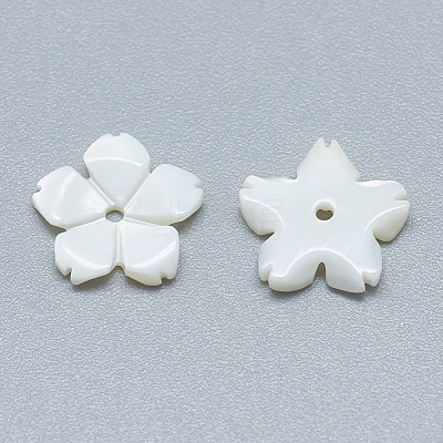 Freshwater Shell Beads SHEL-S275-033-1