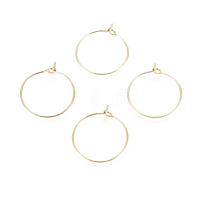 Ion Plating(IP) 316L Surgical Stainless Steel Hoop Earring Findings X-STAS-D164-03G-1