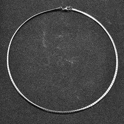 Non-Tarnish 304 Stainless Steel Necklaces X-NJEW-D274-01P-1