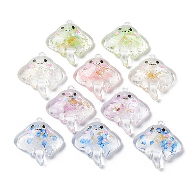 Luminous Transparent Acrylic Pendants TACR-F006-01-1