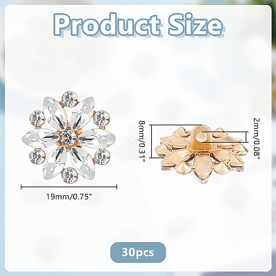 30Pcs Alloy Rhinestone Shank Buttons BUTT-HY0001-29-1