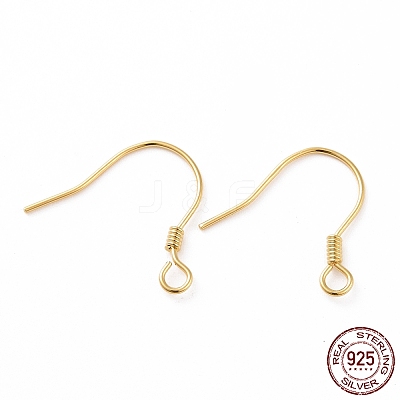 925 Sterling Silver Earring Hooks STER-D035-22G-1