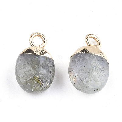 Electroplate Natural Labradorite Charms G-S344-09D-1