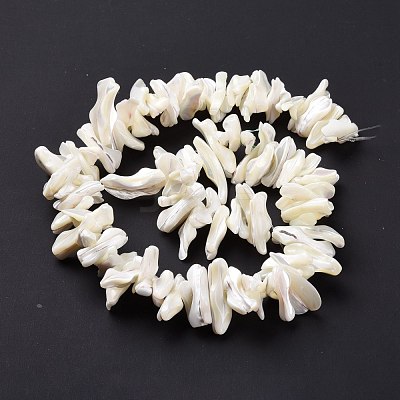 Natural Trochid Shell Beads Strands SSHEL-G023-05B-1
