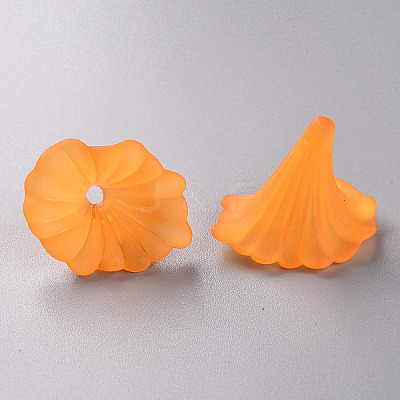 Transparent Acrylic Beads BSF796-C19-1
