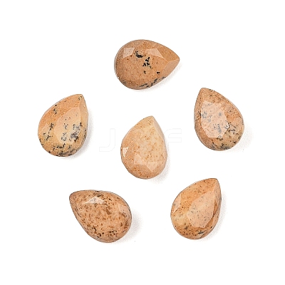 Natural Picture Jasper Cabochons G-C146-01B-1