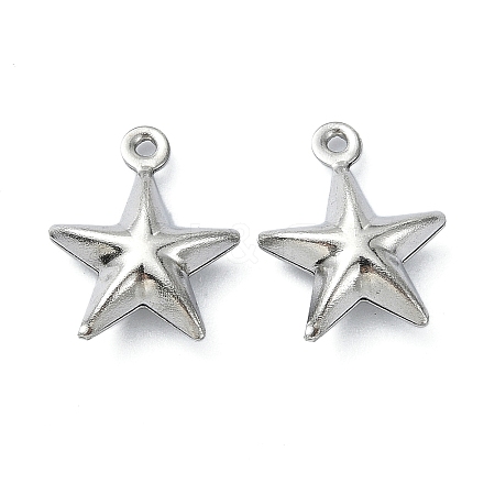 304 Stainless Steel Charms STAS-L024-012P-1