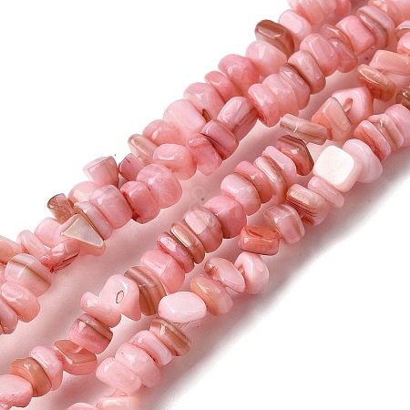 Natural Freshwater Shell Beads SHEL-B003-01N-1