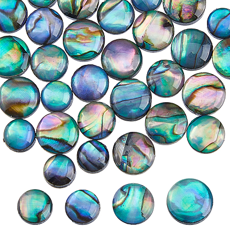 40Pcs 4 Styles Natural Abalone Shell/Paua Shell Cabochons with Enamel BSHE-HS0001-02-1