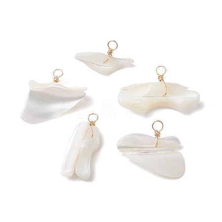 Natural Trochid Shell Pendants PALLOY-JF02809-02-1